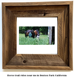 horse trail rides near me in Benton Park, California